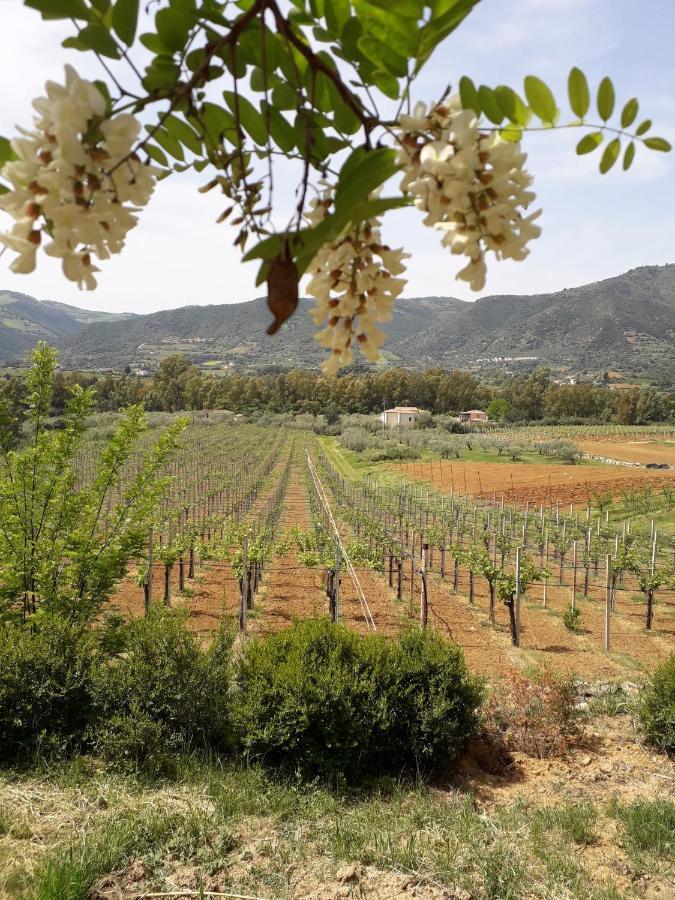 Sa Perda Arrubia Βίλα Cardedu Εξωτερικό φωτογραφία